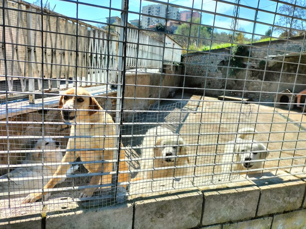 Noi cittadini in un mondo sostenibile by Alessio Pezzella - Illustrated by Pezzella Alessio, Mattia Motta, De Clerico Matteo, Strano Alessandro, Paoletti Christian, Benedetto Ferrara - Ourboox.com