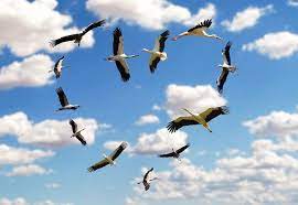 English Idioms by Daria Barinova - Ourboox.com