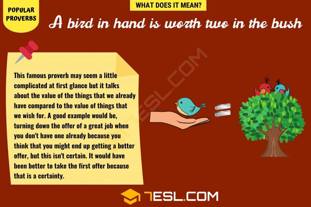 Idioms and proverbs in English by Margarita - Ourboox.com