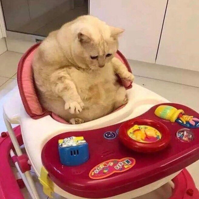 Cat Idioms by Elena Karzalova - Ourboox.com