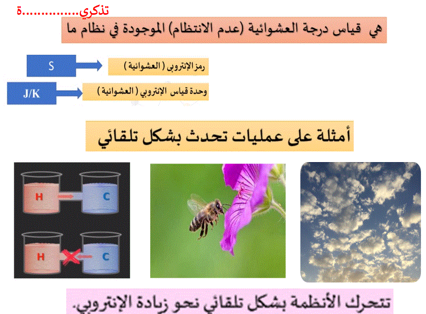 تذكري عزيزتي الطالبة by lubna darabah - Ourboox.com