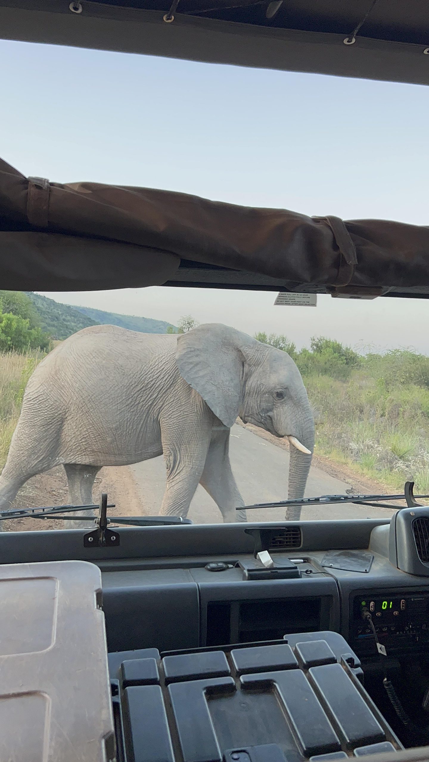 South Africa by Inbarzichlinskey - Illustrated by Inbar Zichlinskey - Ourboox.com