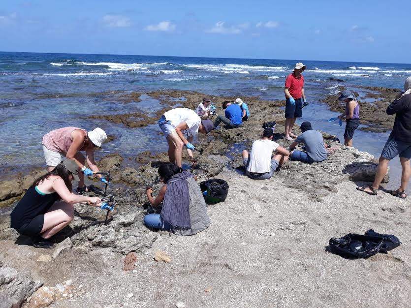 Protection of sea turtles by Hagar avidar - Ourboox.com