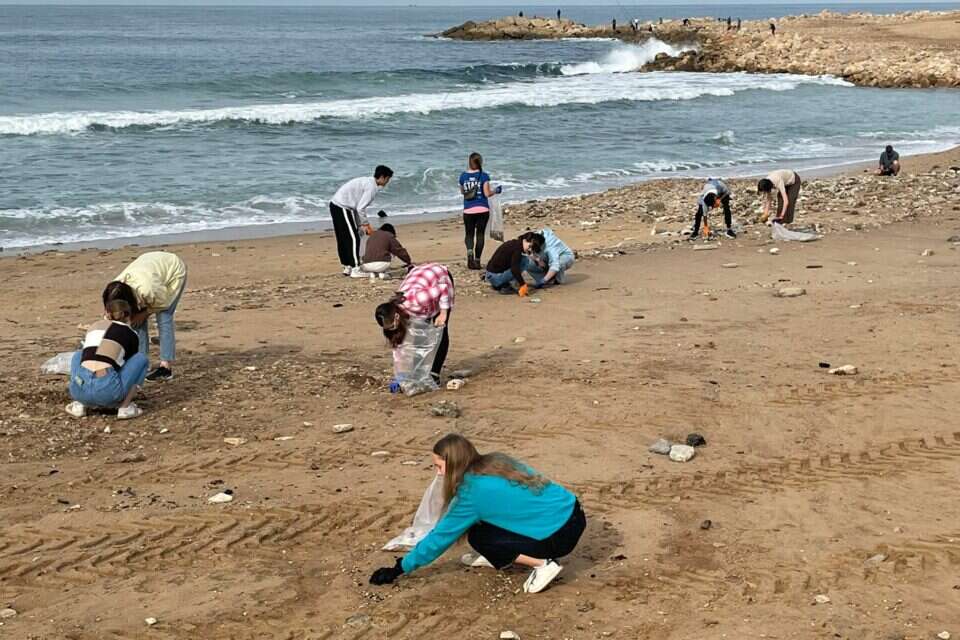 Protection of sea turtles by Hagar avidar - Ourboox.com