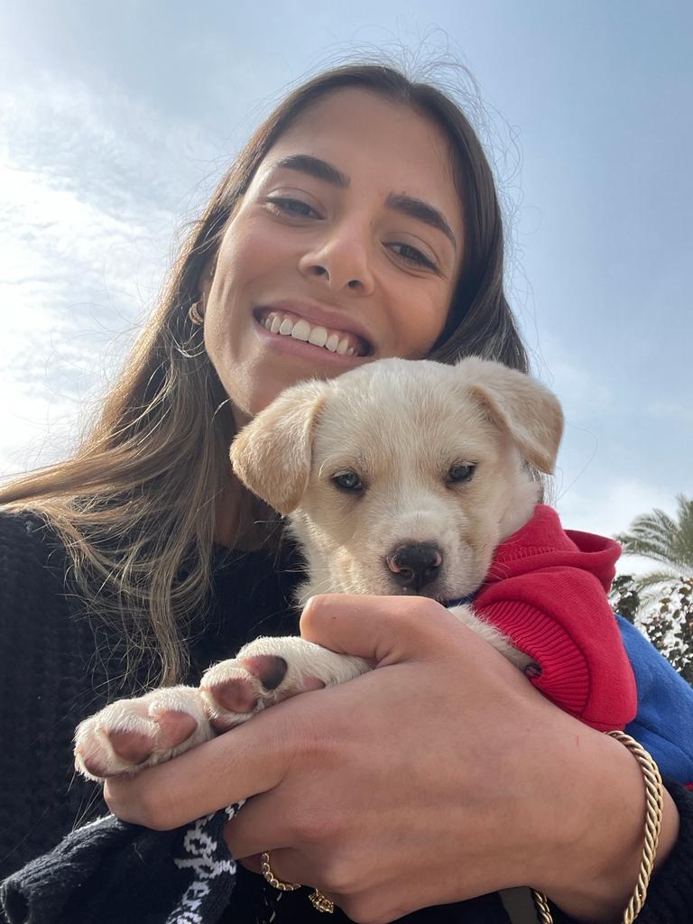 Dogs R Us – Volunteering at a dogs’ shelter by Daniella Madari - Ourboox.com