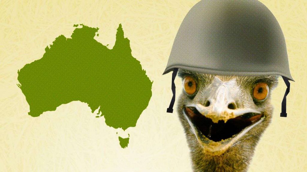 The true story about the war between the Australian army… and birds by Liad Neeman - Illustrated by google - Ourboox.com