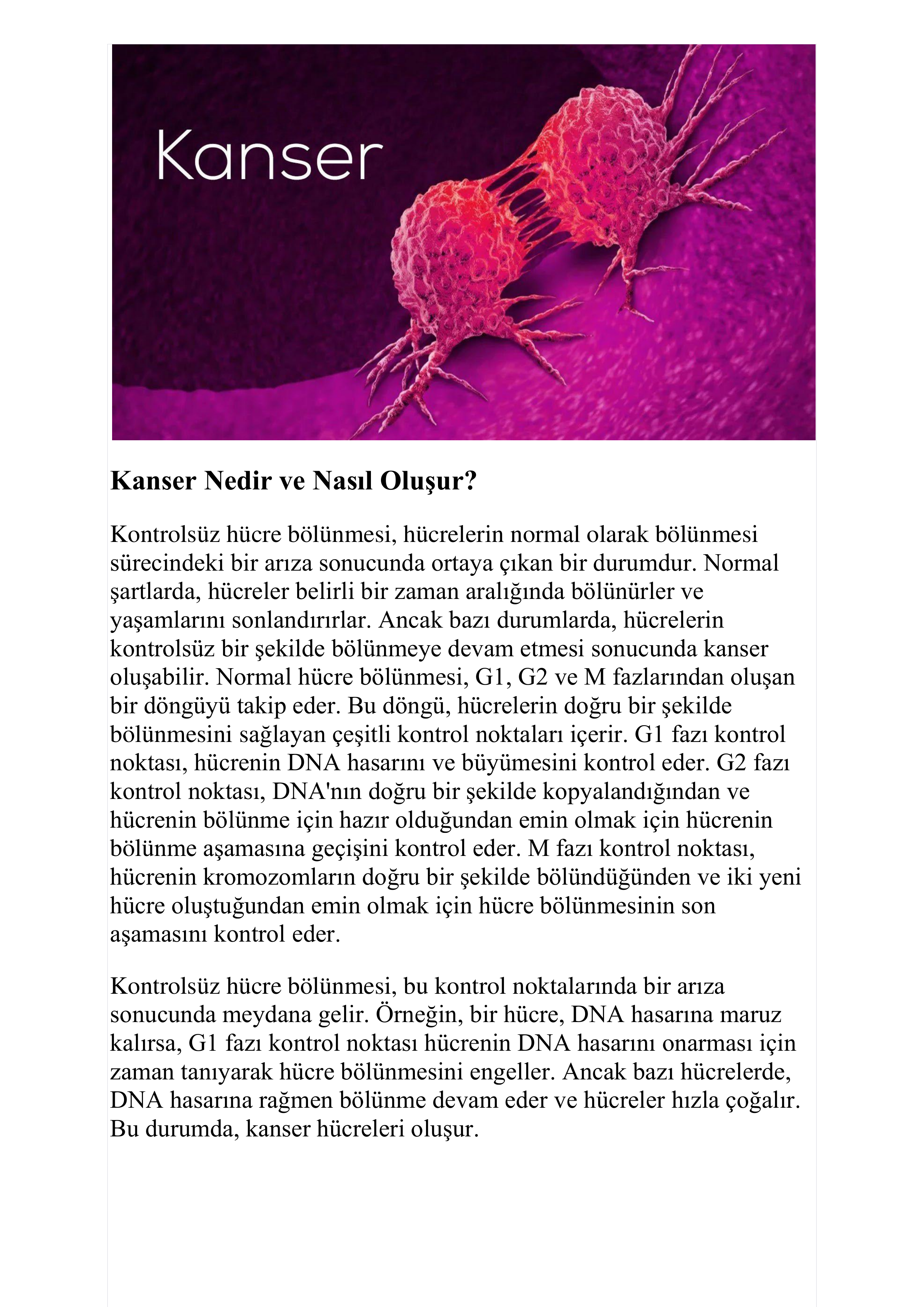 Biyoloji by Burak ERÇİK - Illustrated by Burak ERÇİK - Ourboox.com