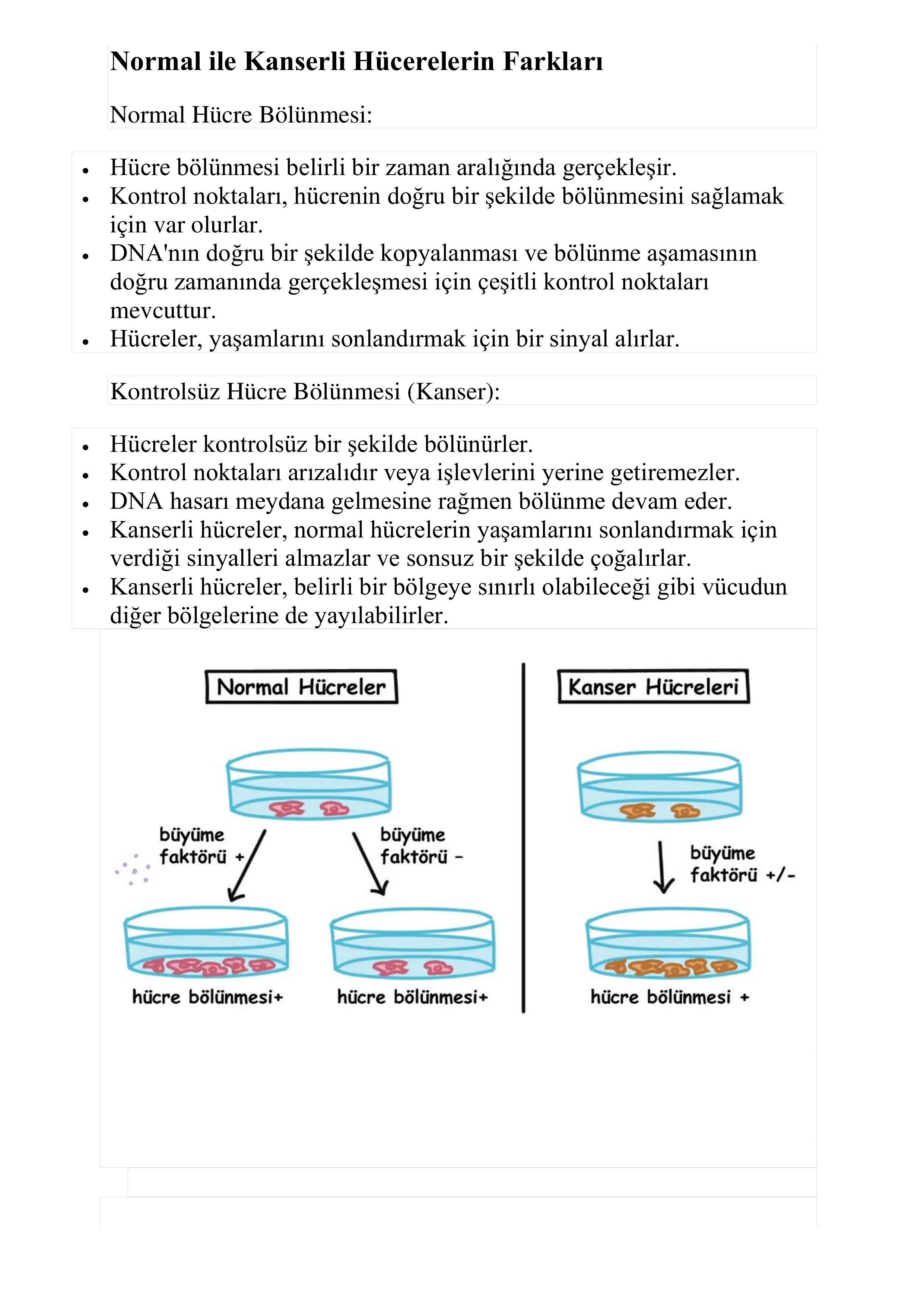 Biyoloji by Burak ERÇİK - Illustrated by Burak ERÇİK - Ourboox.com