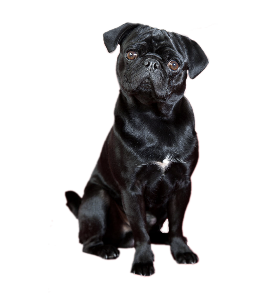 Bright idioms by Anya Dementieva - Ourboox.com