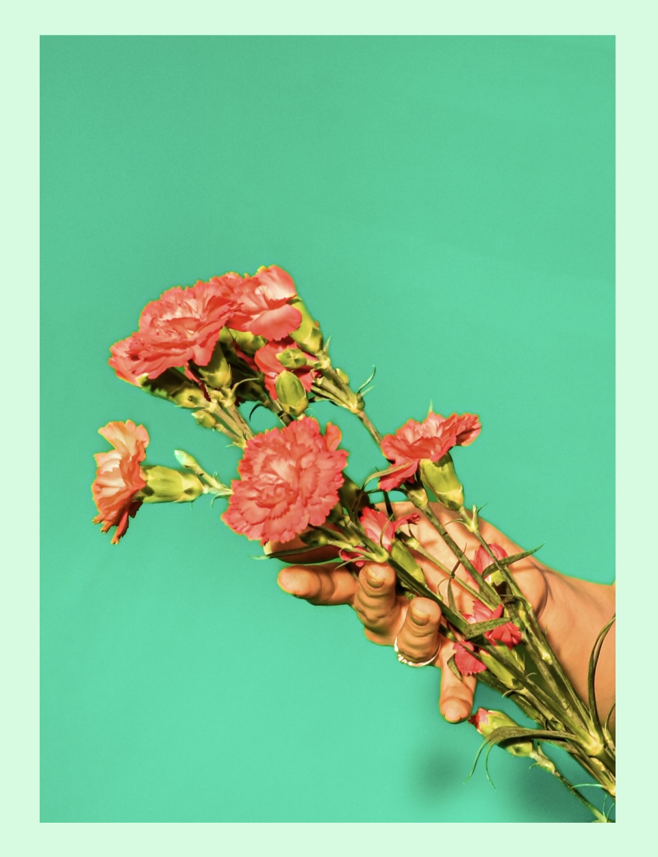 Femininity & Flowers by Amber Bradley by Amber Bradley - Ourboox.com