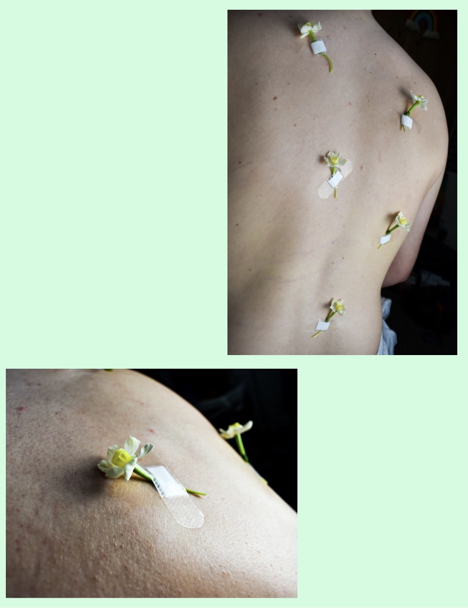 Femininity & Flowers by Amber Bradley by Amber Bradley - Ourboox.com