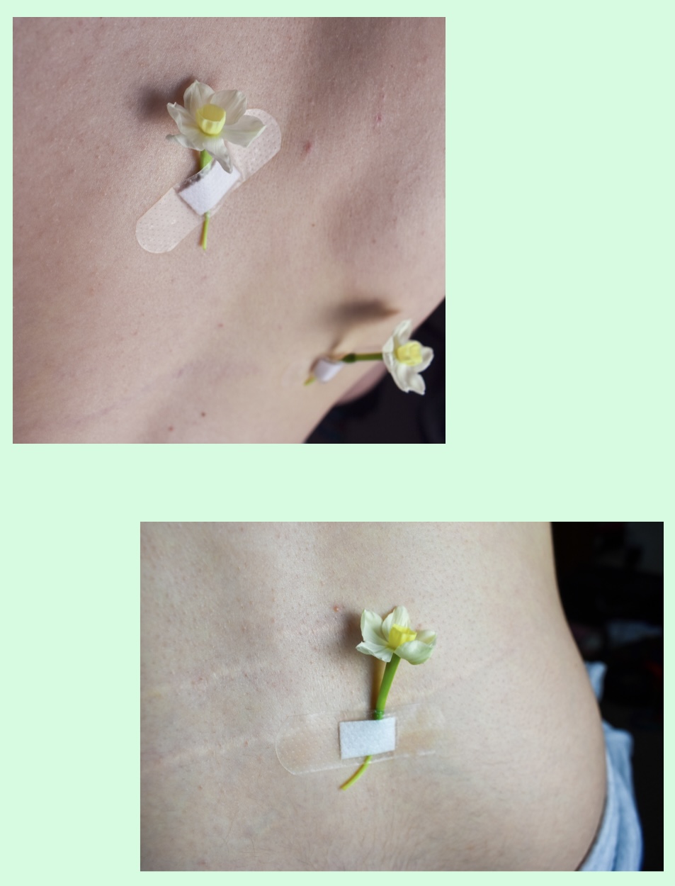 Femininity & Flowers by Amber Bradley by Amber Bradley - Ourboox.com