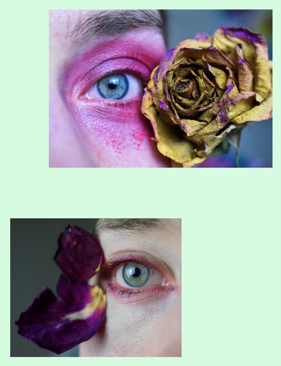 Femininity & Flowers by Amber Bradley by Amber Bradley - Ourboox.com