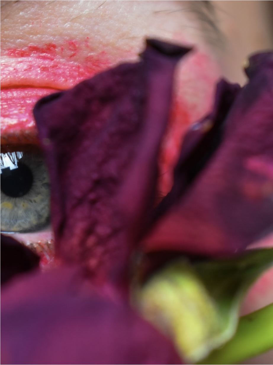 Femininity & Flowers by Amber Bradley by Amber Bradley - Ourboox.com