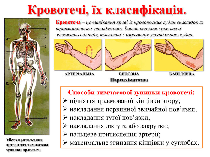 Надання першої допомоги потерпілим при нещасних випадках by Lora - Ourboox.com