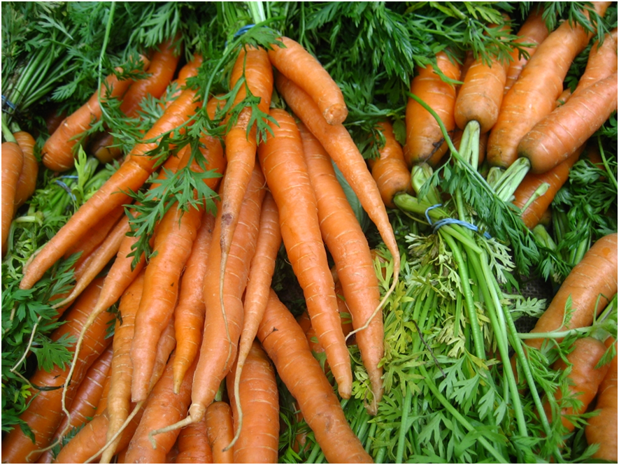 Овочі на нашому столі. Вірші про овочі. by Inna Tarasenko - Ourboox.com