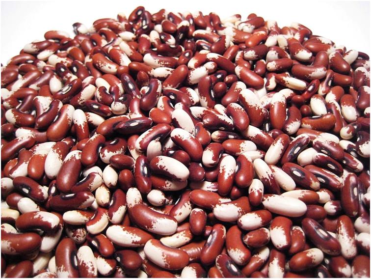 Овочі на нашому столі. Вірші про овочі. by Inna Tarasenko - Ourboox.com