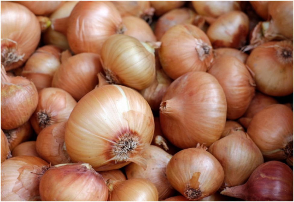 Овочі на нашому столі. Вірші про овочі. by Inna Tarasenko - Ourboox.com