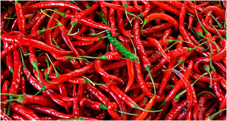 Овочі на нашому столі. Вірші про овочі. by Inna Tarasenko - Ourboox.com