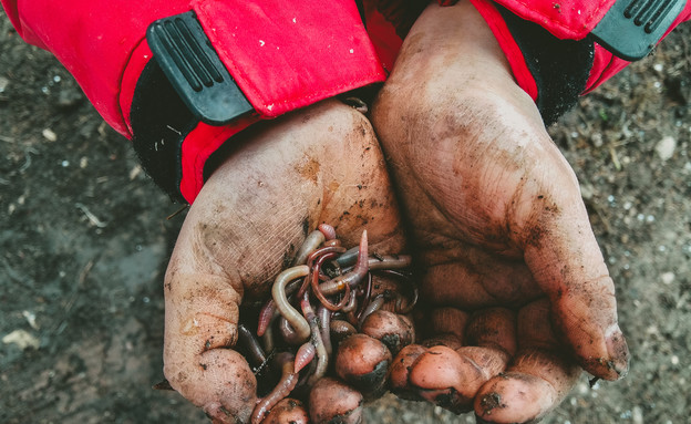 The most ridiculous profession that exists by Michael Geva - Ourboox.com