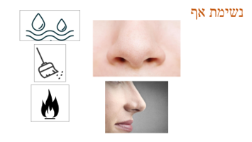 הספר של יהונתן וצליל היריות by Johnathan - Ourboox.com