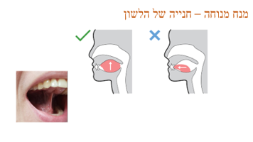 לני והצלילים by elisheva - Ourboox.com