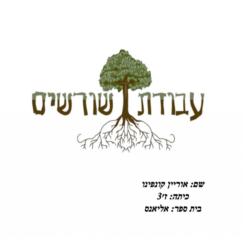 עבודת אוריין קונפינו ז3 by ORIAN KONFINO - Ourboox.com