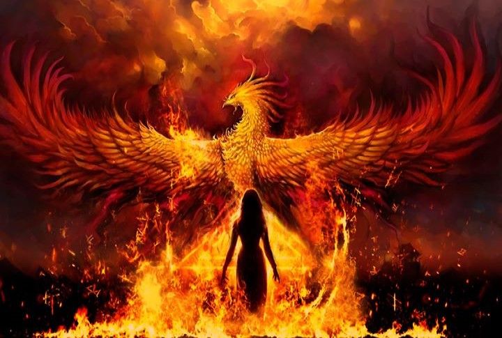 Il libro delle creature magiche by Ambra Moretti - Ourboox.com