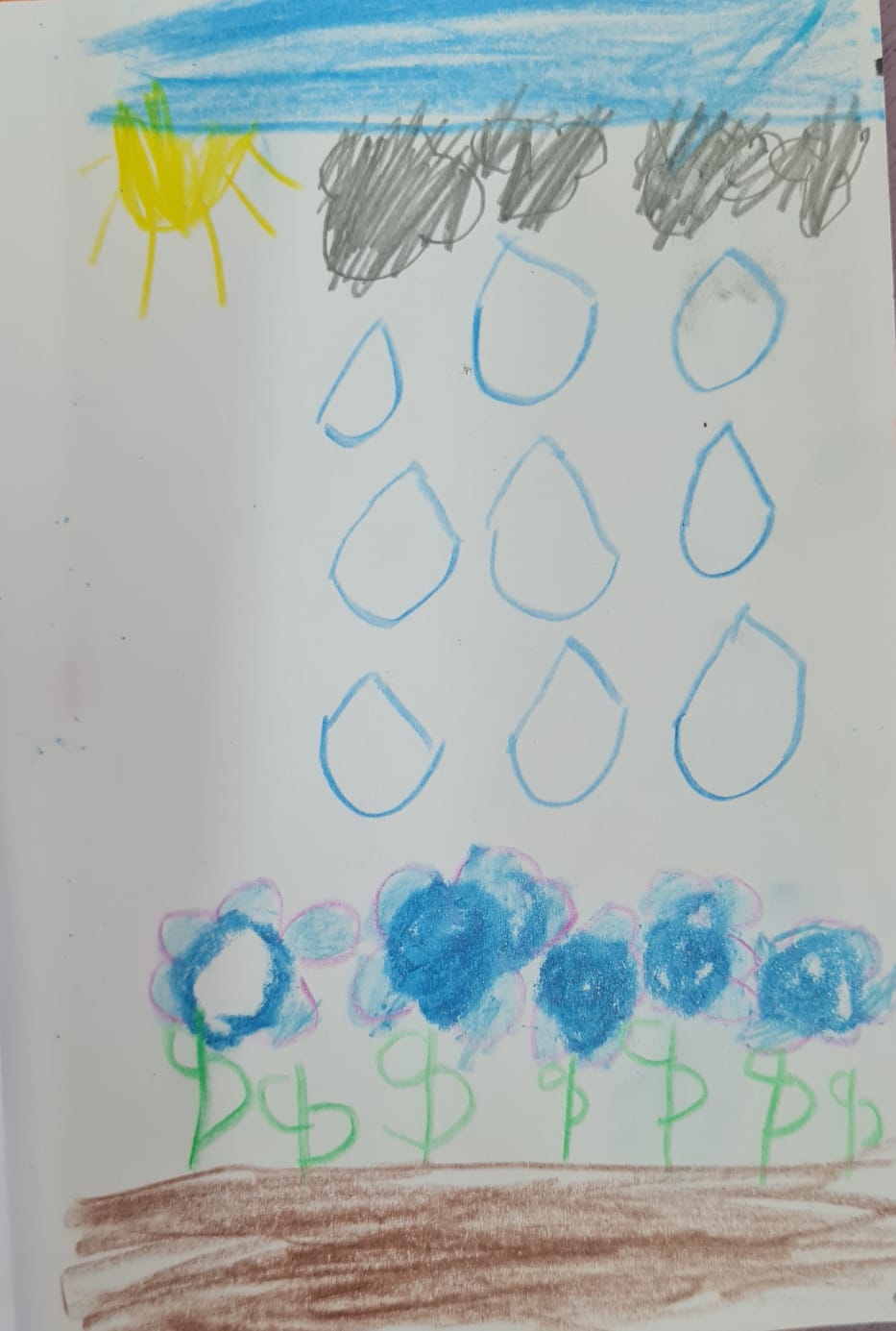 דנה כהן 2023 by adi zilber - Ourboox.com