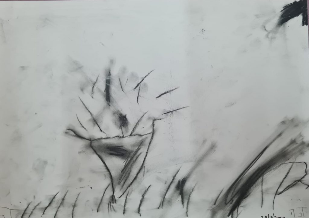 דנה כהן 2023 by adi zilber - Ourboox.com