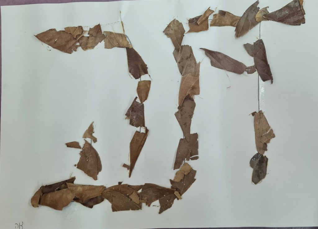 דנה כהן 2023 by adi zilber - Ourboox.com