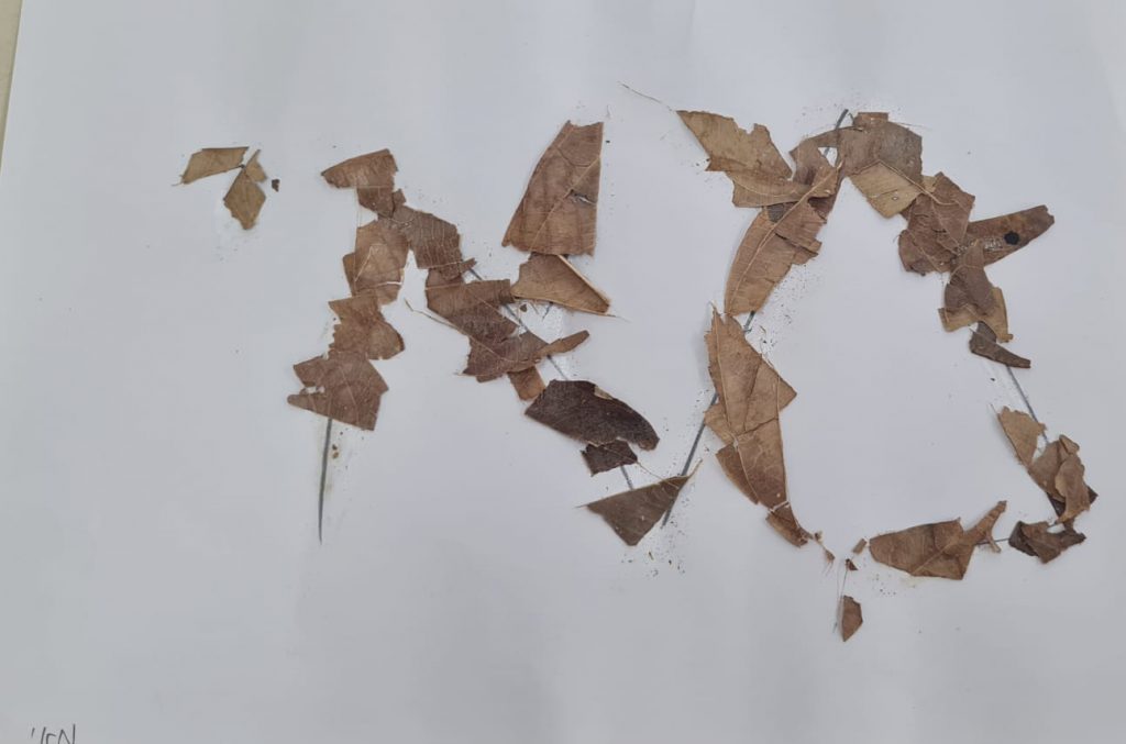 מאי הרשקוביץ by adi zilber - Ourboox.com