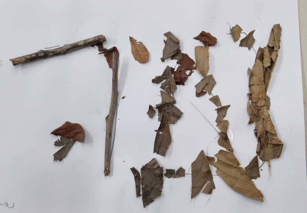 נאיה כהן by adi zilber - Ourboox.com