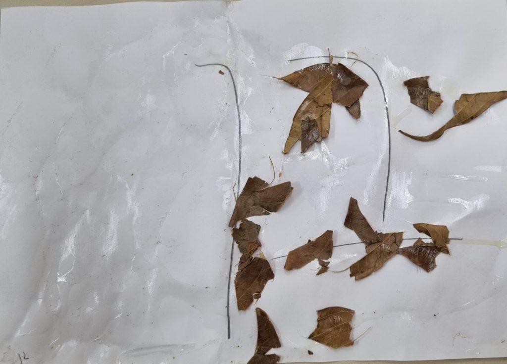 בן רבנוף by adi zilber - Ourboox.com