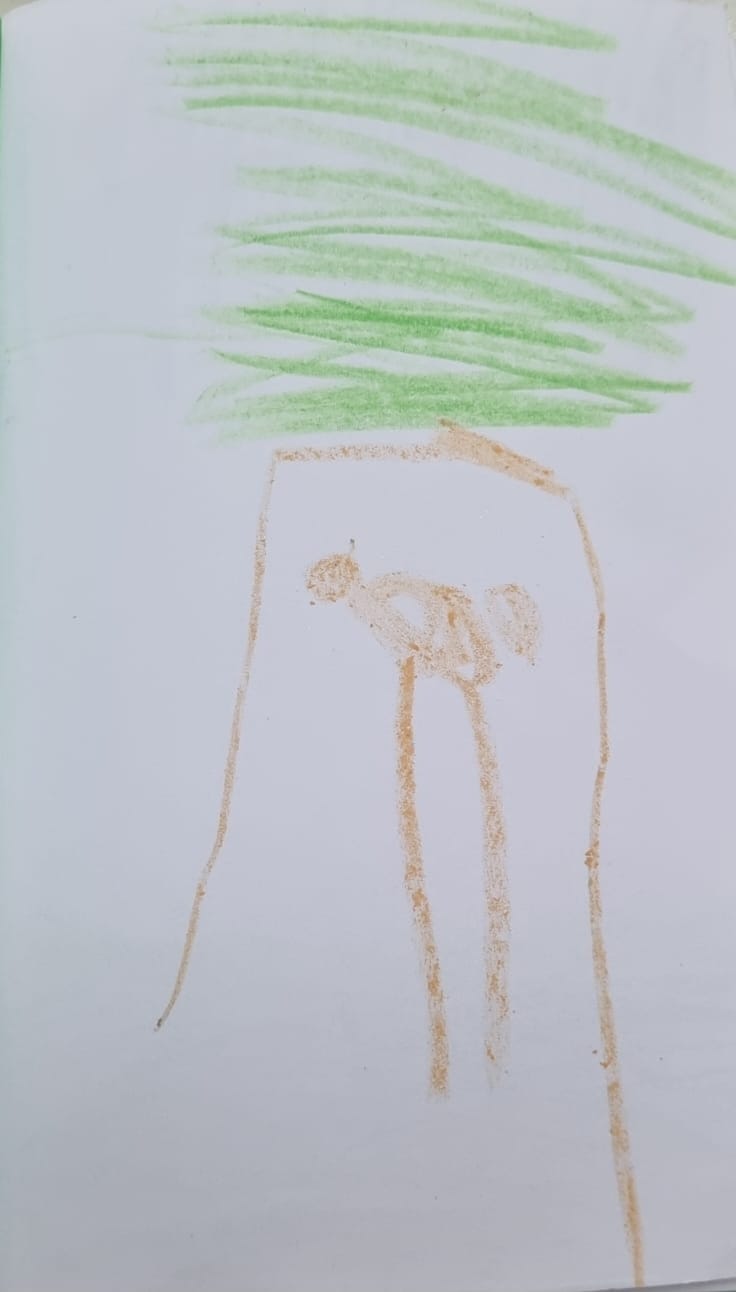 עמית לביא לבקוביץ by adi zilber - Ourboox.com