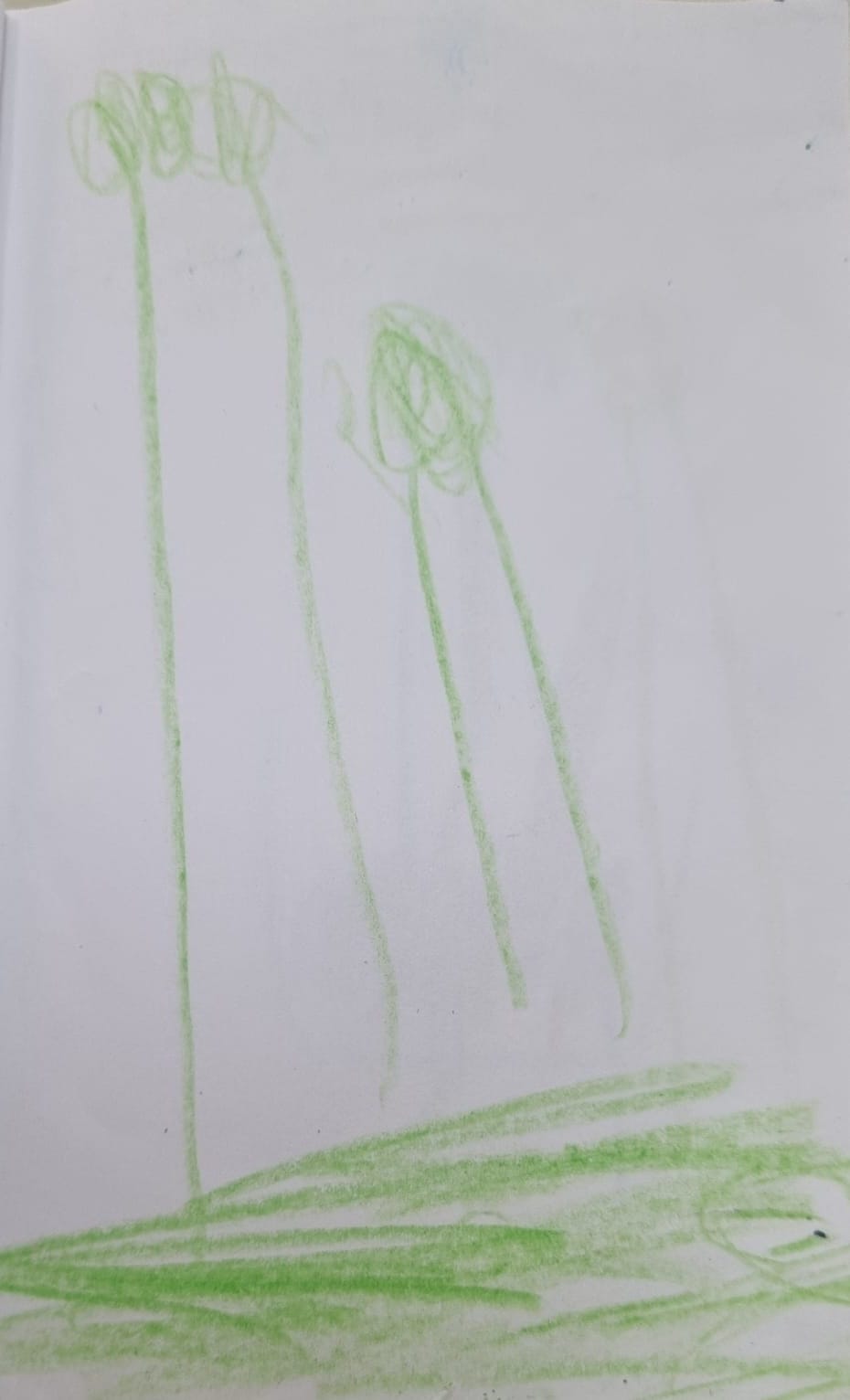 עמית לביא לבקוביץ by adi zilber - Ourboox.com