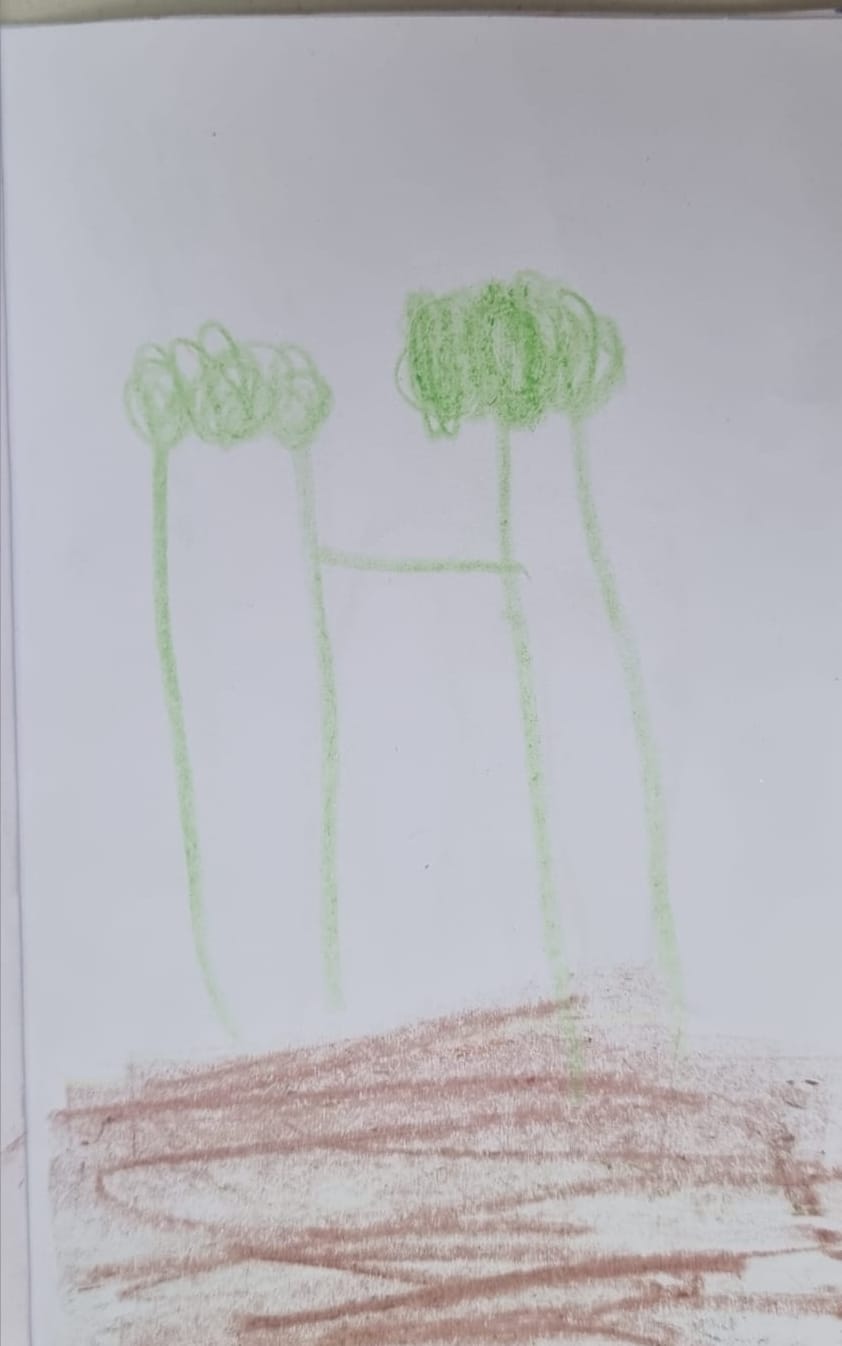 עמית לביא לבקוביץ by adi zilber - Ourboox.com