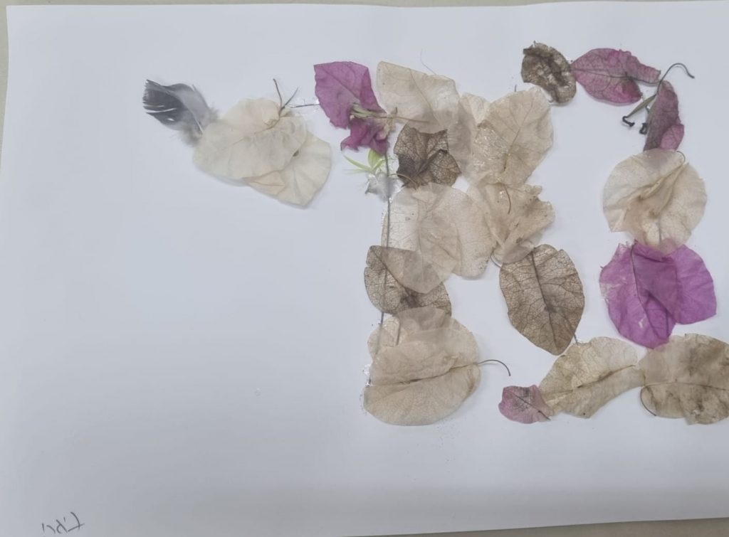 בארי אהרונסון by adi zilber - Ourboox.com