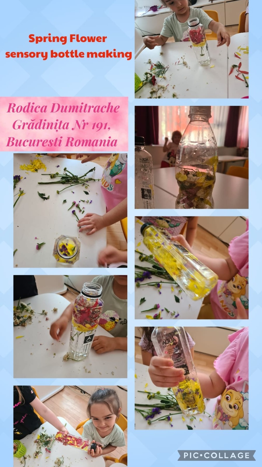 My Material is From Nature project OUR MATERIAL: FLOWERS booklet by Jūratė Dzindzalietienė - Ourboox.com