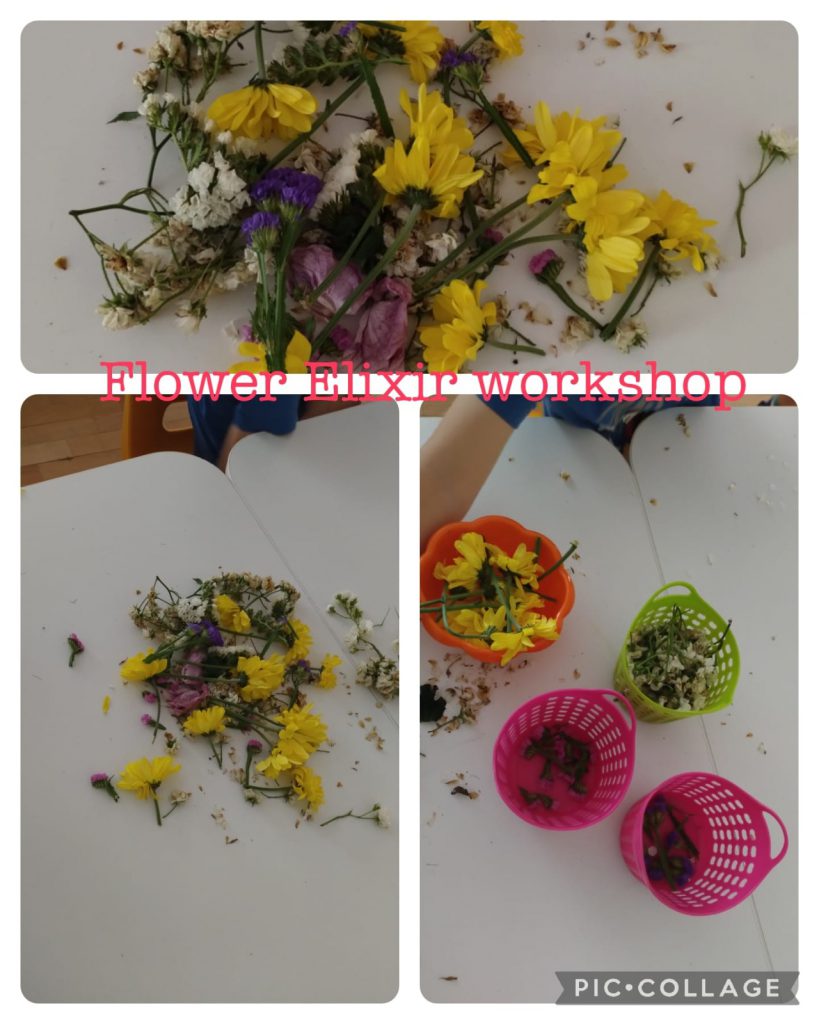 My Material is From Nature project OUR MATERIAL: FLOWERS booklet by Jūratė Dzindzalietienė - Ourboox.com