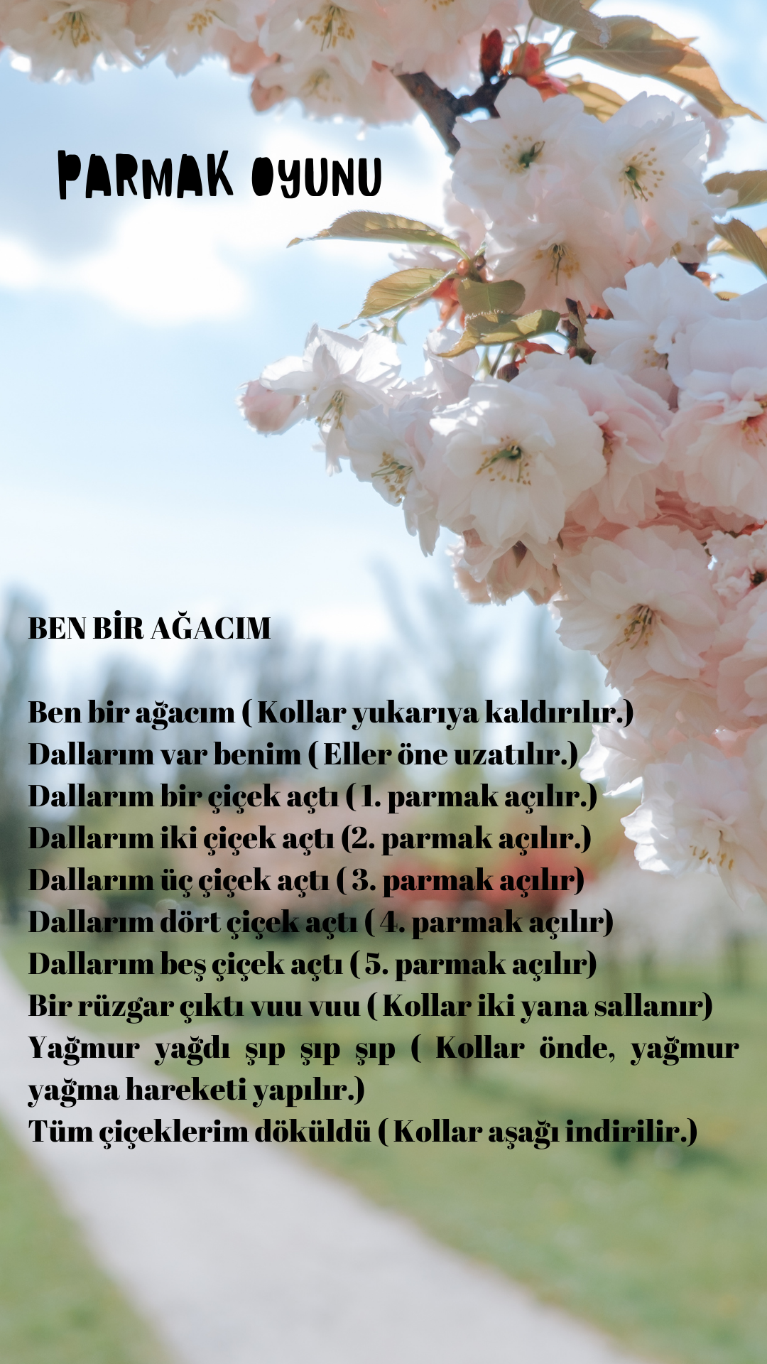 Sancaktepe’nin Keşif Gezegeni 17. Sayı by Keşif Gezegeni - Ourboox.com