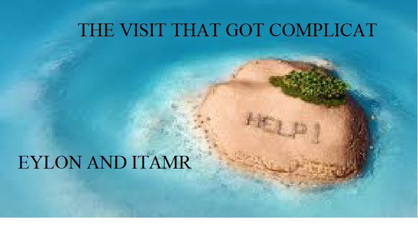 THE VISIT THAT GOT COMPLICATED by ITAMAR AMAR - Illustrated by ITAMAR AND EYLON - Ourboox.com
