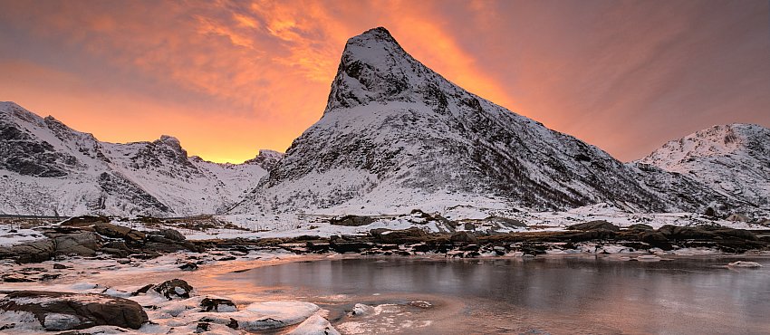 Scientists by Eviatar and Noam - Ourboox.com