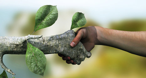 Ecology by Samuel Marino - Ourboox.com