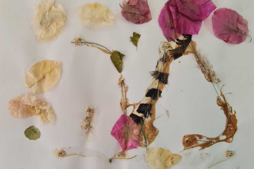 מיה עזרא by adi zilber - Ourboox.com