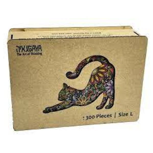 the cat and dhe box by Noam Banot Pisgat Zeev - Illustrated by Anael Ester Harrison. - Ourboox.com