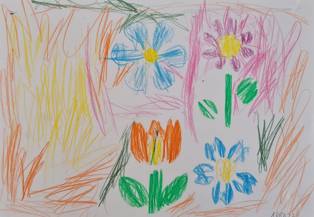 מיכאל פרימינגר לדרר by adi zilber - Ourboox.com