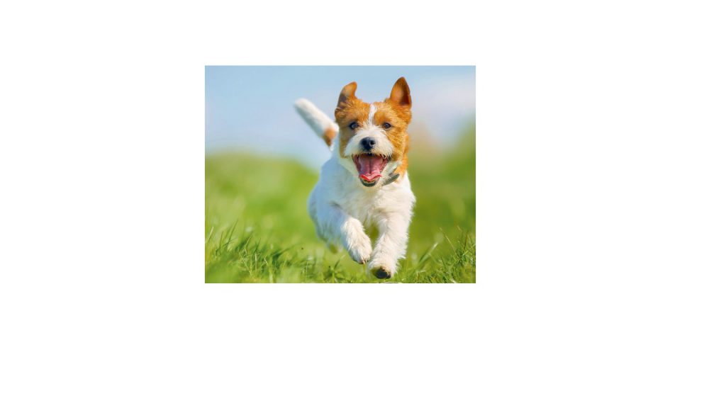 The special relationship between Itamar and Danny by Yuval Agunin - Ourboox.com