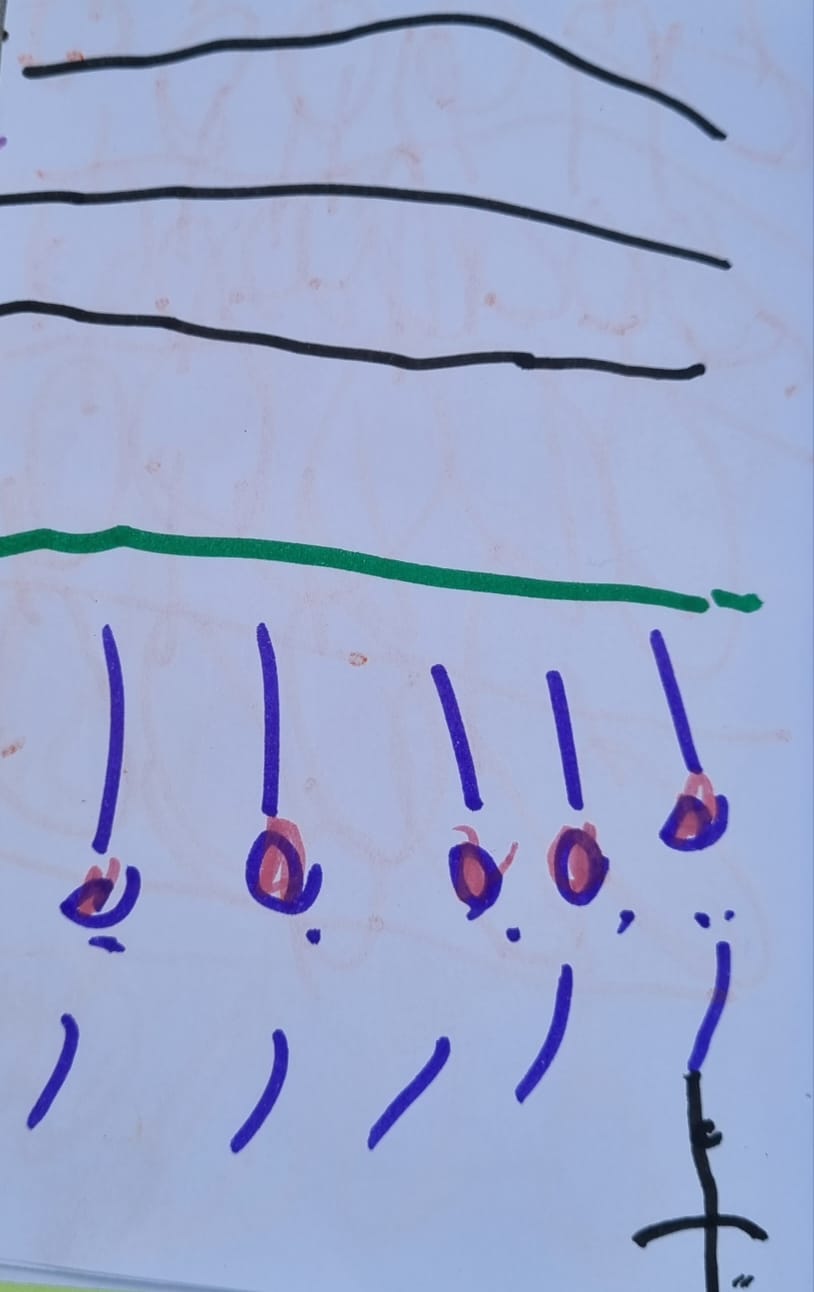 מיה רואש by adi zilber - Ourboox.com