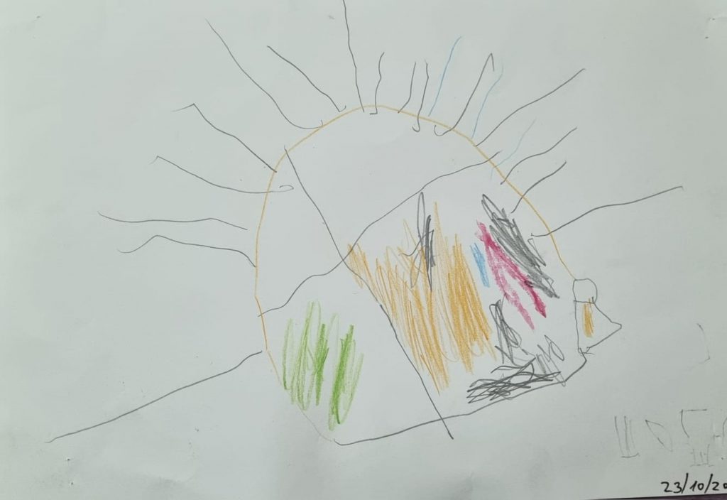 שקד אסולין by adi zilber - Ourboox.com